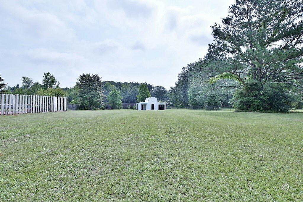 154 Meadow Lakes Dr Pine Mountain Pine Mountain, GA 31822 - Photo 31 of 47 Side yard and Carriage House