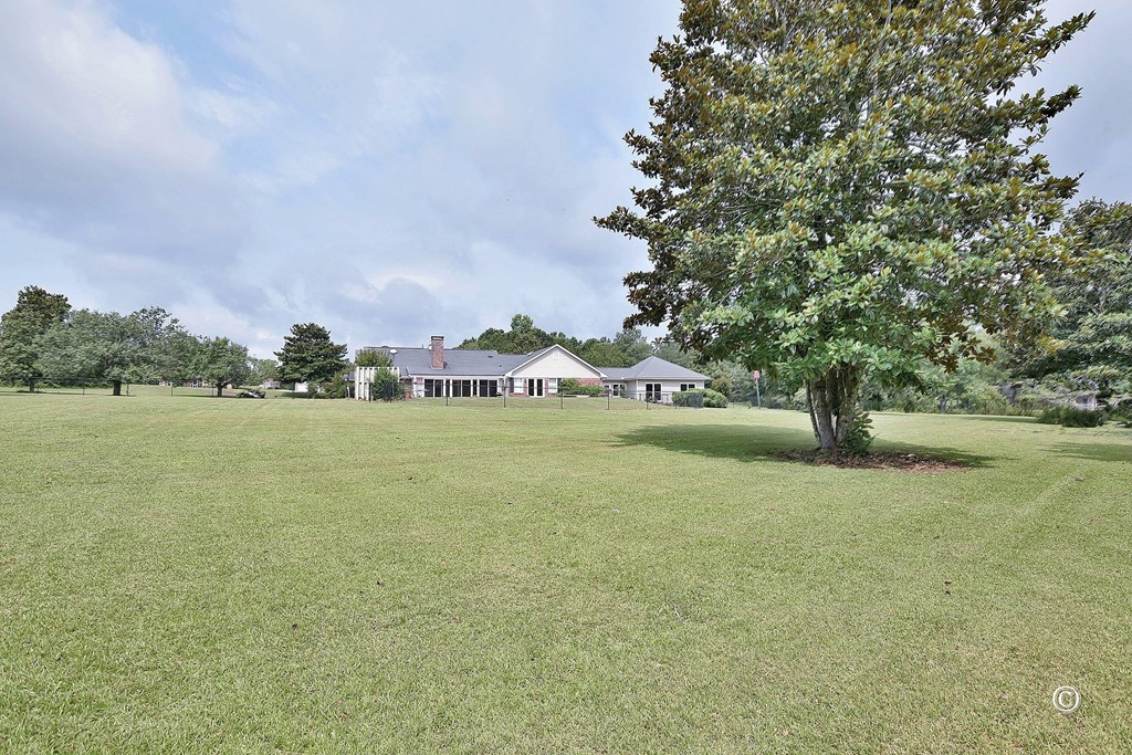 154 Meadow Lakes Dr Pine Mountain Pine Mountain, GA 31822 - Photo 36 of 47 Back of home