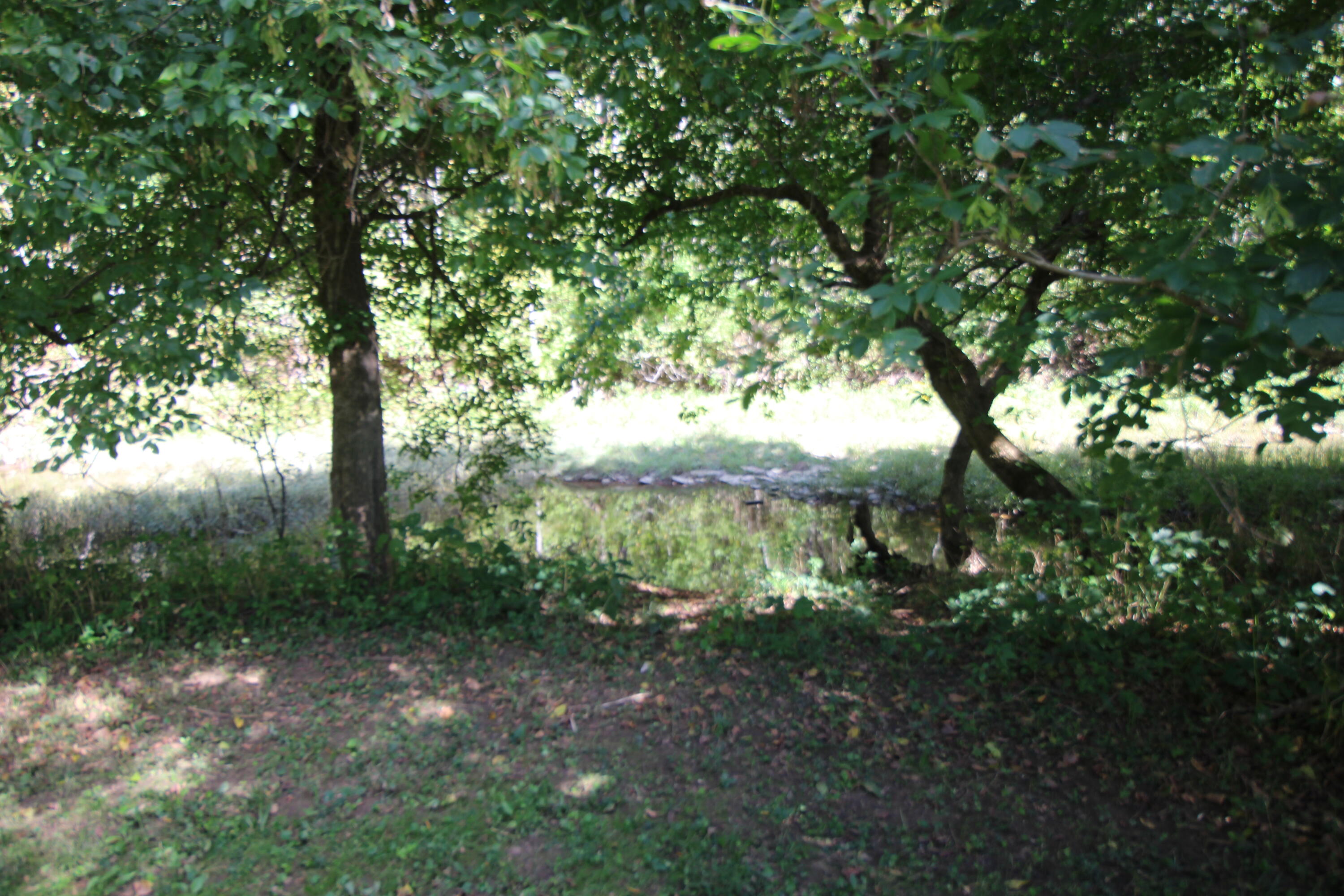 740 Bennett Road Williamstown, KY 41097 - Photo 26 of 30 IMG_0140