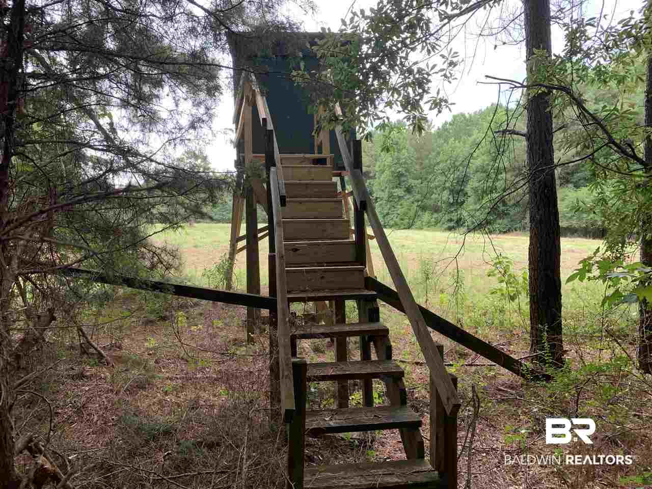 1178 Dry Lake Road Luverne, AL 36049 - Photo 8 of 50