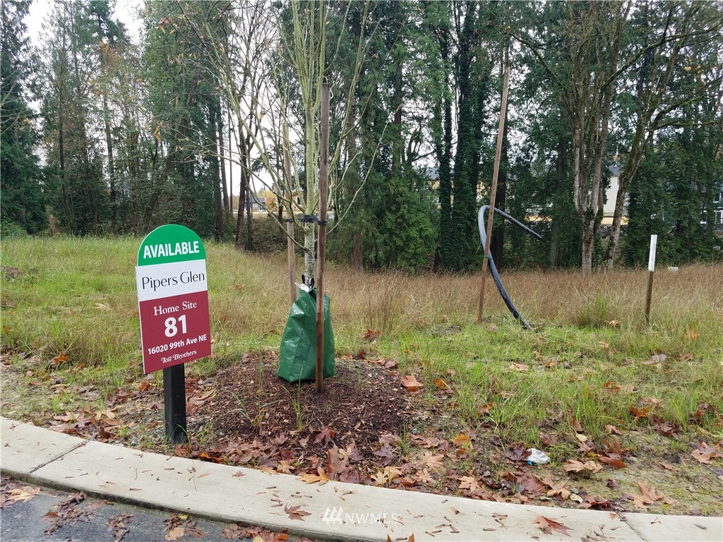 9911 Northeast 158th Street Bothell, WA 98011 - Photo 2 of 25 a view of a park with large trees