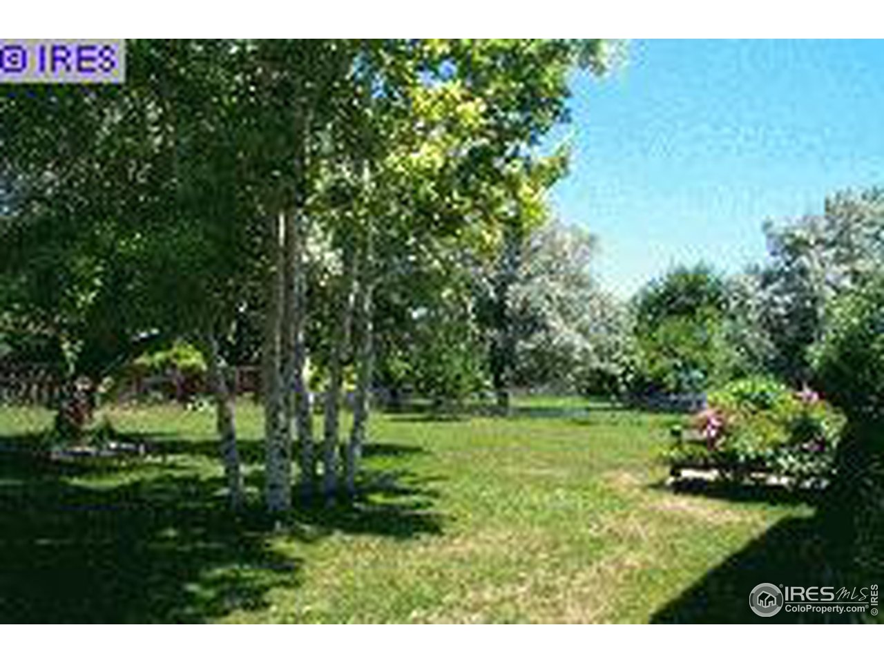 904 East Swallow Road Fort Collins, CO 80525 - Photo 5 of 5 Gallery Image 5