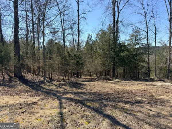 a view of a yard with trees
