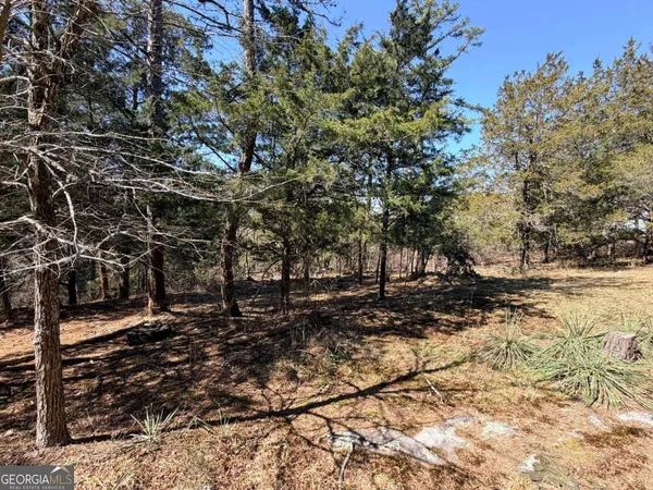a view of a tree in the middle of a yard