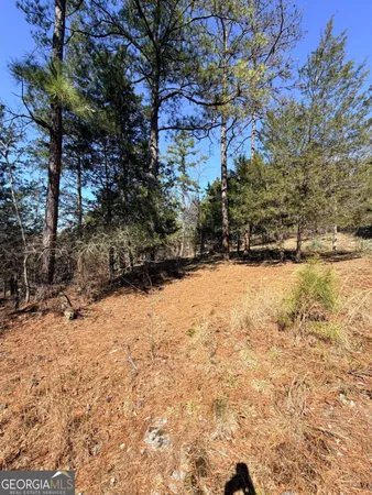 a view of a yard with trees