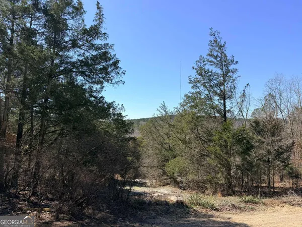 a view of a yard with trees