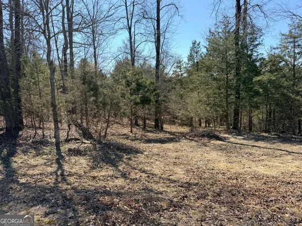 a view of a tree with a yard