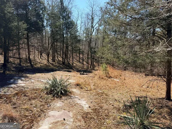 a view of covered with snow