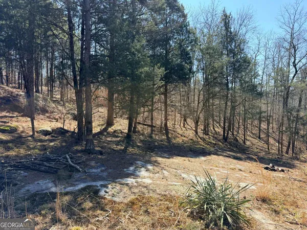 a view of a yard with trees