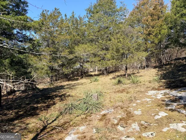 a view of a yard with a tree