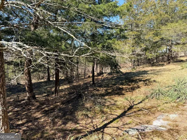a view of a large yard with lots of trees