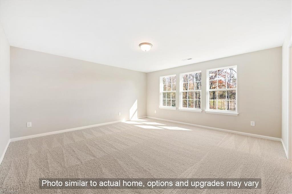 168 Red Maple Way King, NC 27021 - Photo 9 of 13