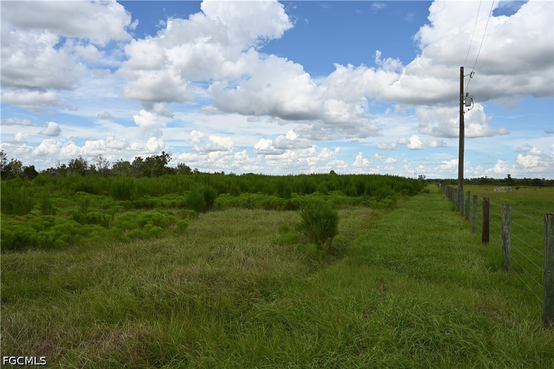 0 County Line Road East Bowling Green, FL 33834 - Photo 8 of 20