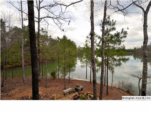 351 Horton Cove Road Calera, AL 35040 - Photo 32 of 32