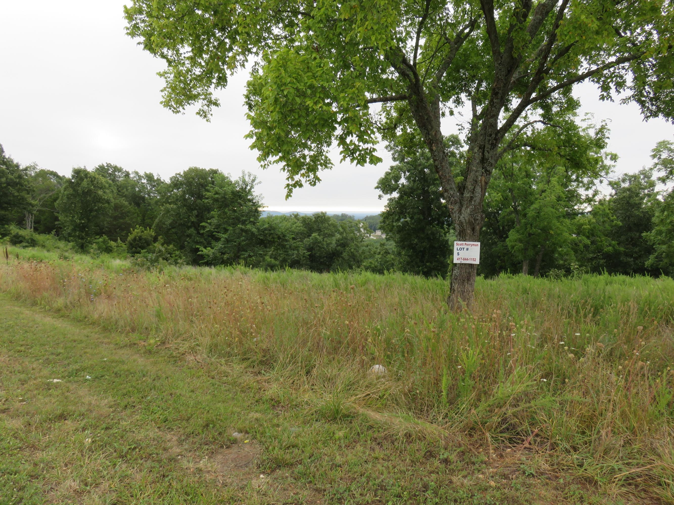 413 North Ridge Place, Unit LOT 116 Branson, MO 65616 - Photo 1 of 1 IMG_4165