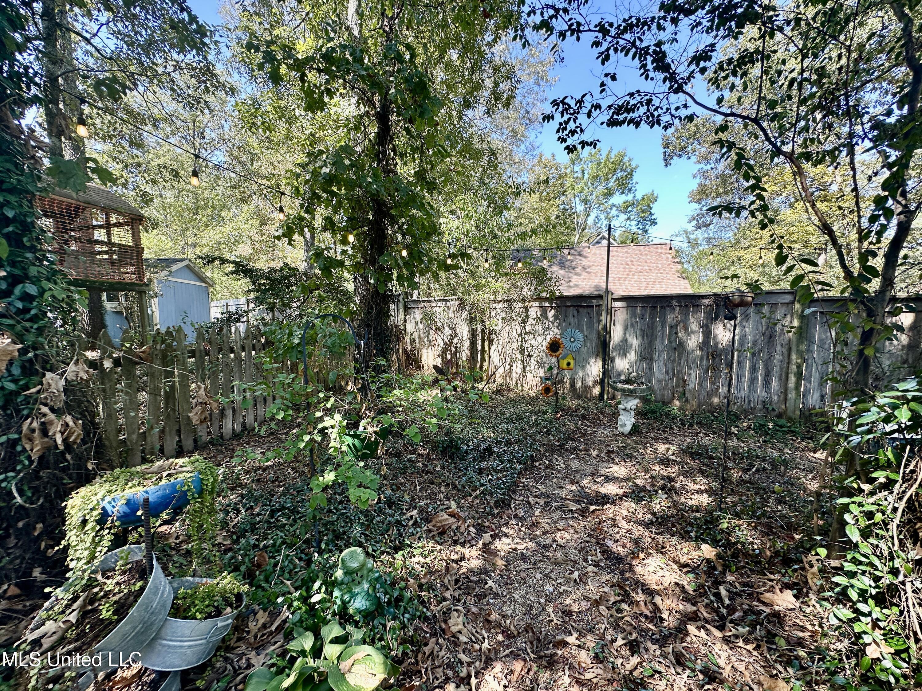 106 Caroline Cove Clinton, MS 39056 - Photo 13 of 49 IMG_9709