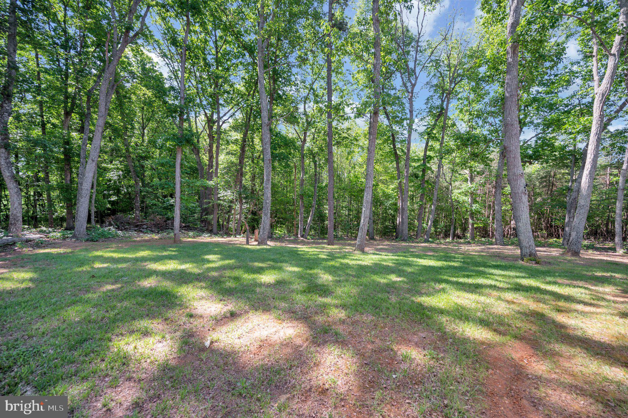 28282 Tatum Road Unionville, VA 22567 - Photo 52 of 52 Serene wooded retreat awaits you.