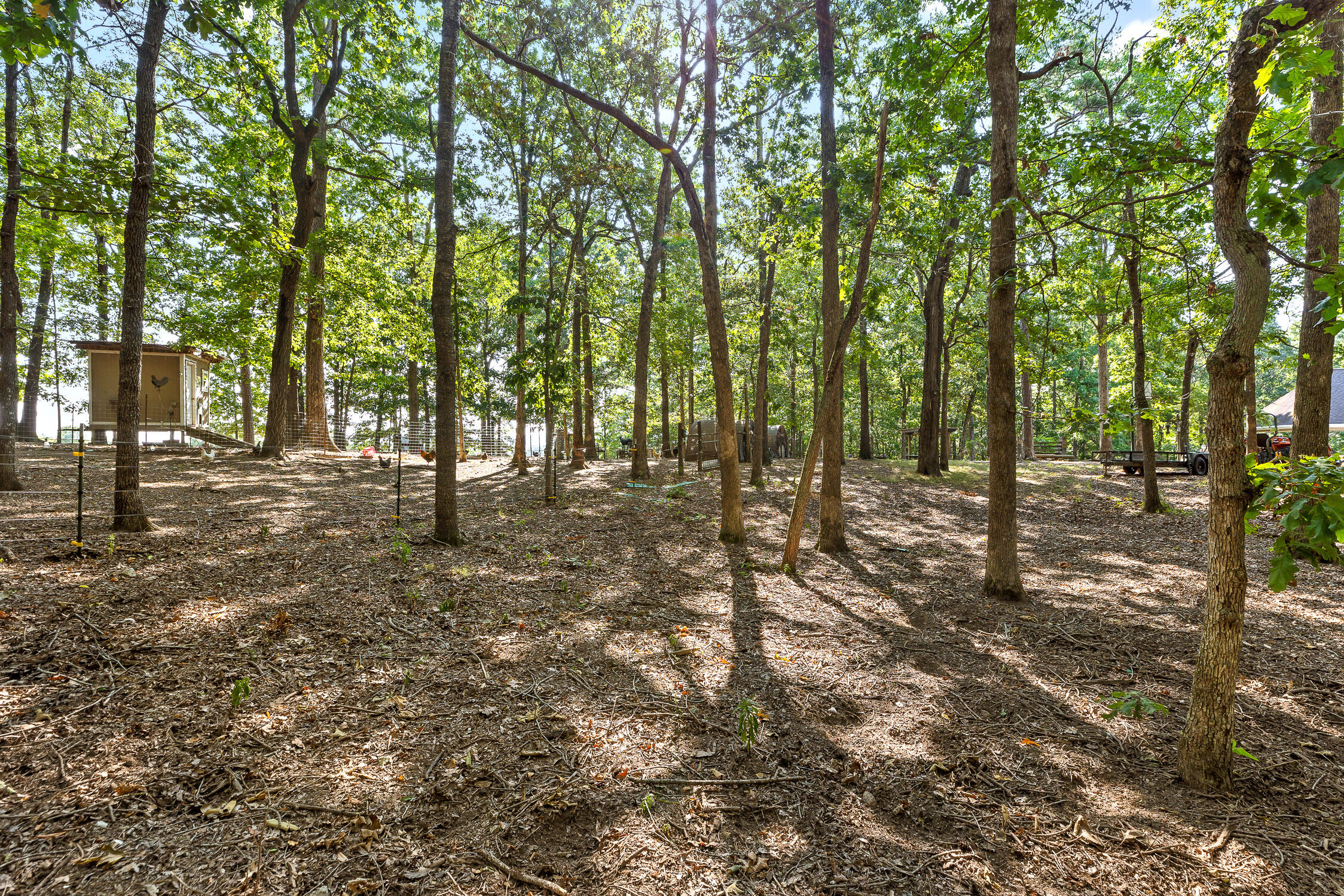 7429 Chad Road Harrison, TN 37341 - Photo 33 of 68 Chad-48