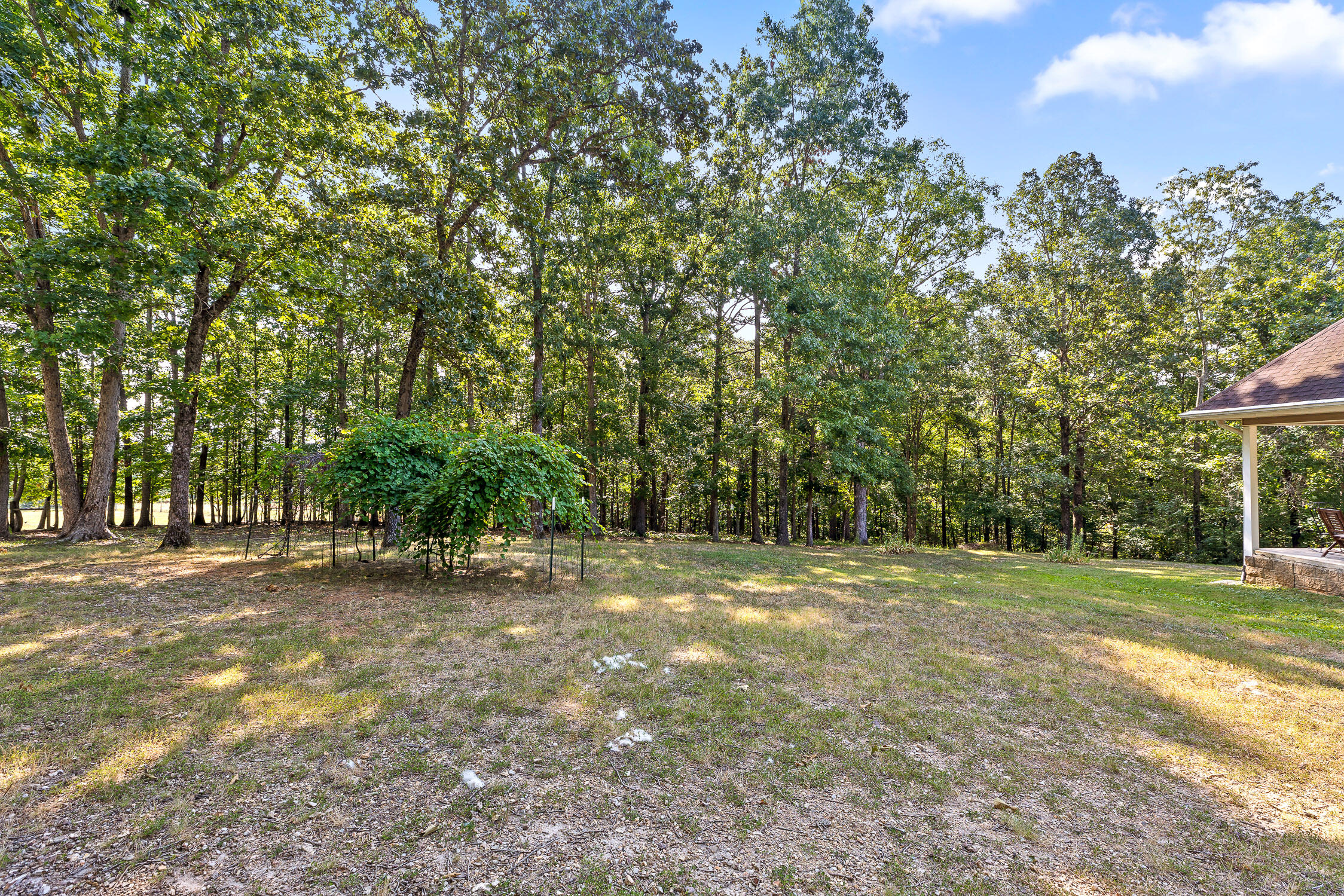 7429 Chad Road Harrison, TN 37341 - Photo 45 of 68 Chad-42