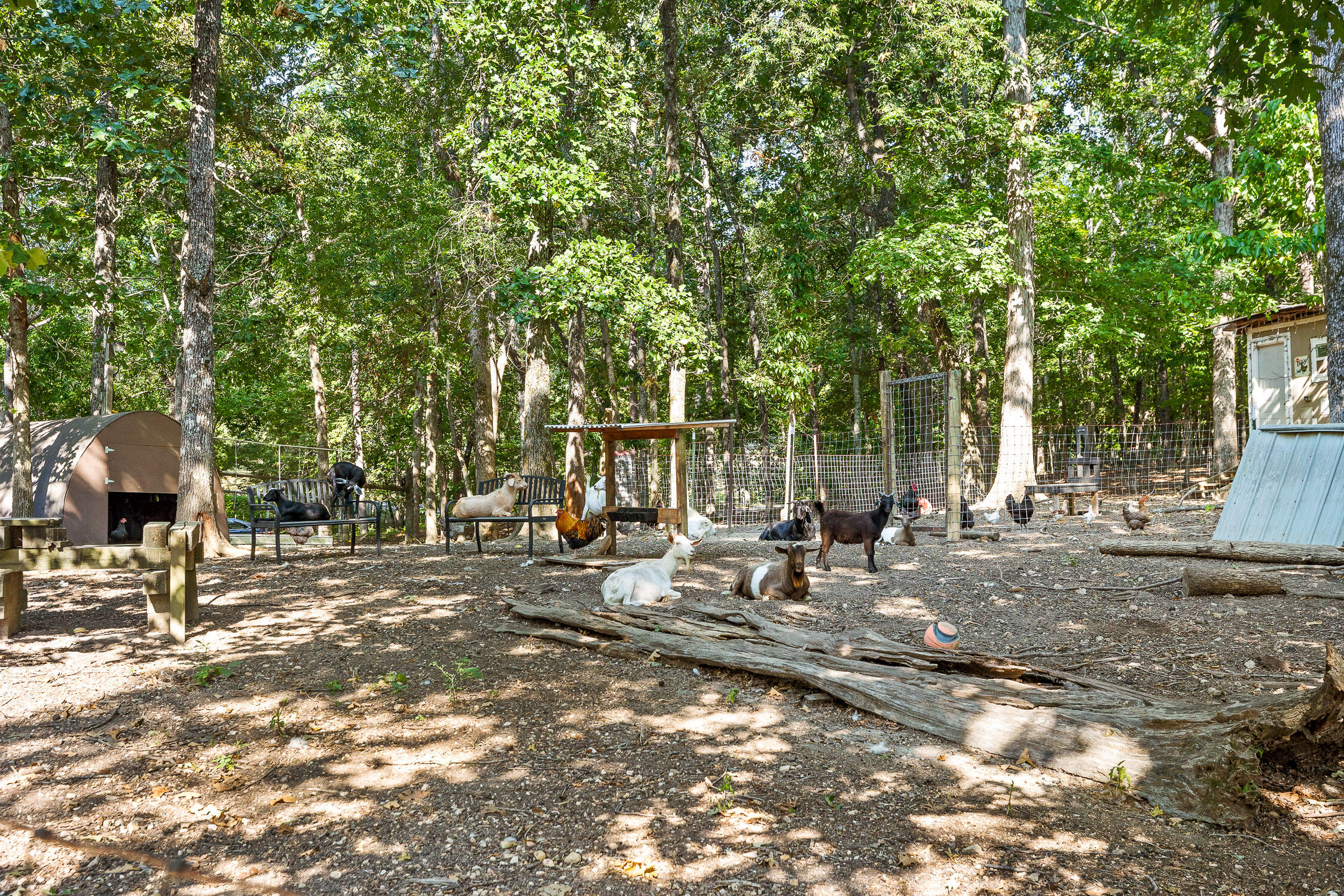 7429 Chad Road Harrison, TN 37341 - Photo 64 of 68 Chad-45