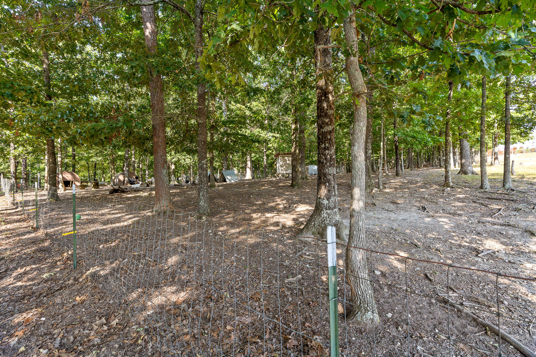 7429 Chad Road Harrison, TN 37341 - Photo 65 of 68 Chad-46