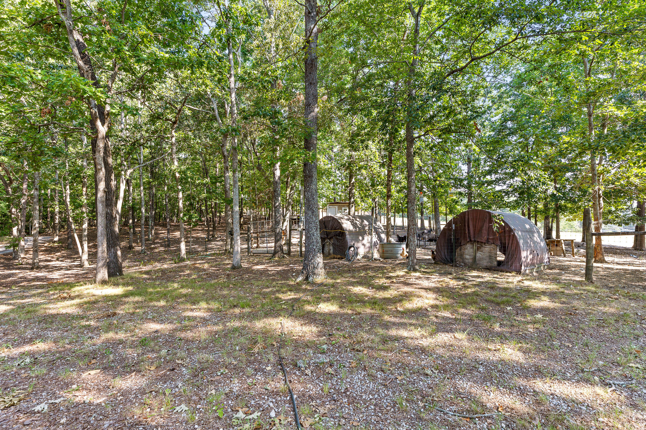 7429 Chad Road Harrison, TN 37341 - Photo 66 of 68 Chad-44