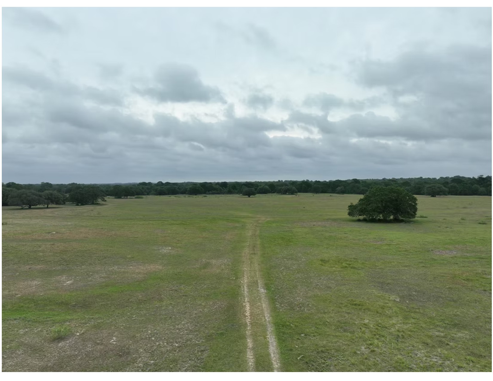 Lot 4-tbd County Road 127 Road Ledbetter, TX 78946 - Photo 3 of 8