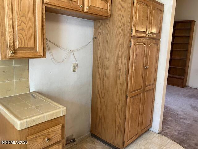 840 Meadow Springs Drive Reno, NV 89509 - Photo 4 of 23 a view of storage and utility room