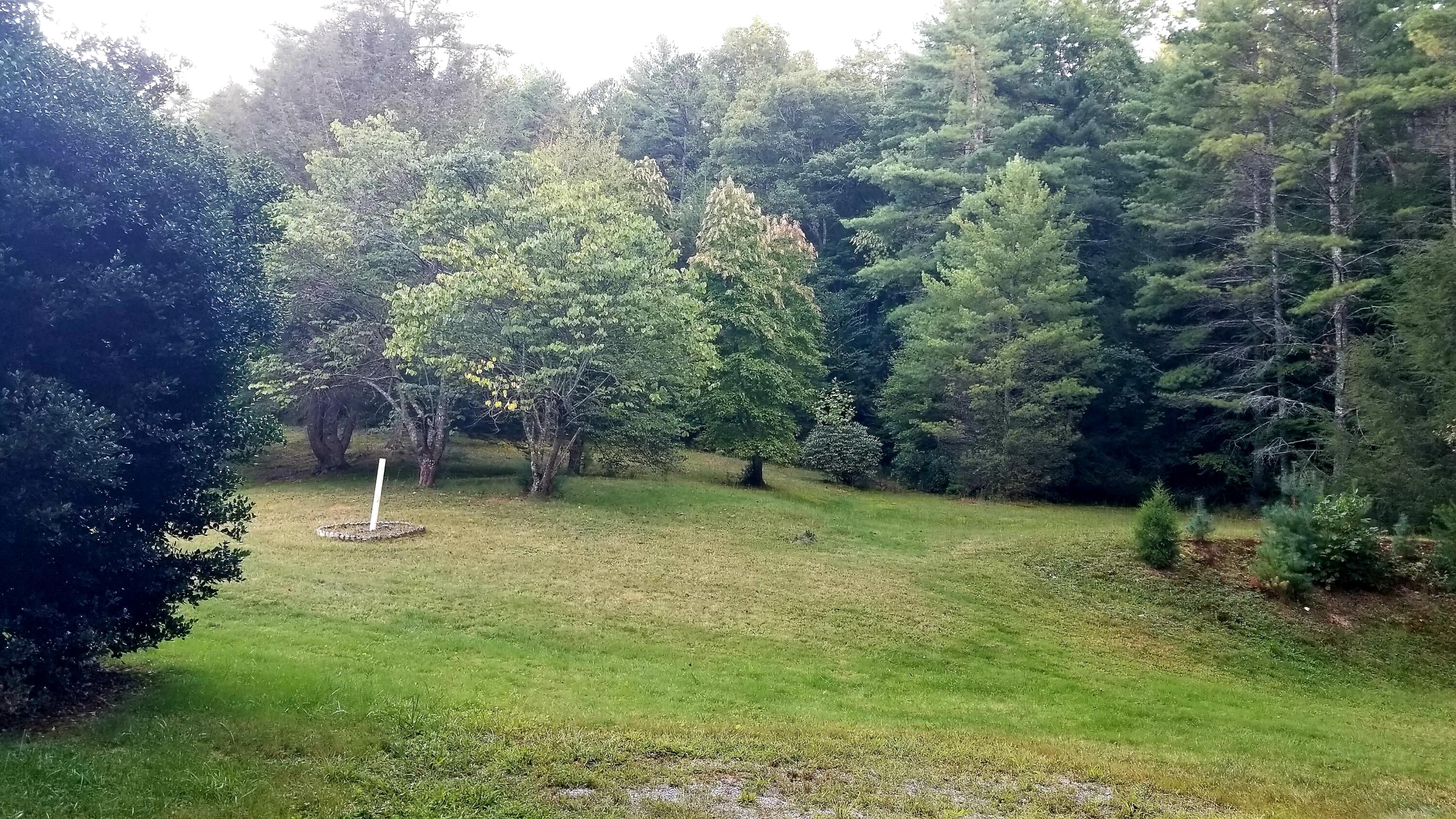 709 Scioto Road Unicoi, TN 37692 - Photo 7 of 23 709 Scioto Rd 3