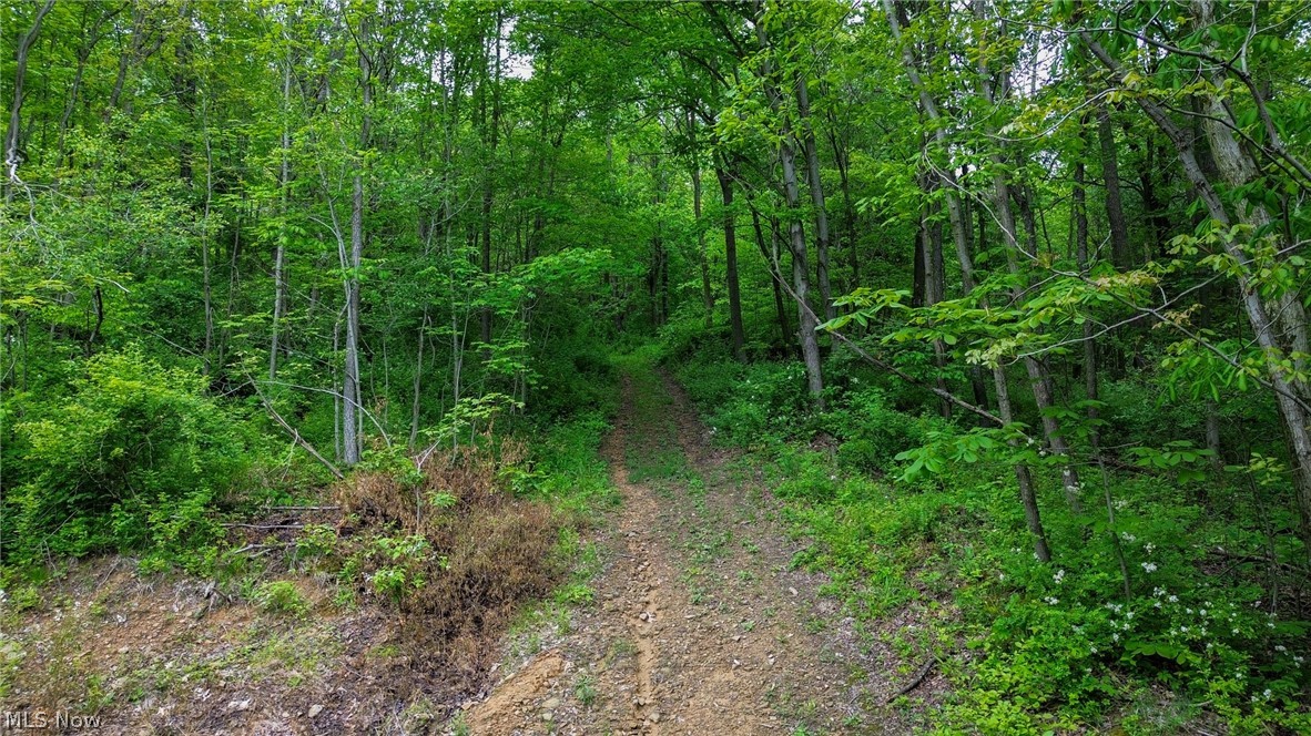 5309 Cherry Run Road Northwest Strasburg, OH 44680 - Photo 21 of 49