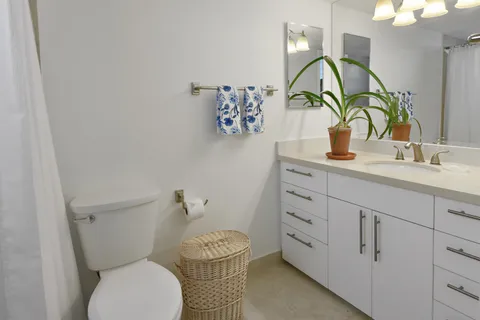 a bathroom with a sink and a toilet