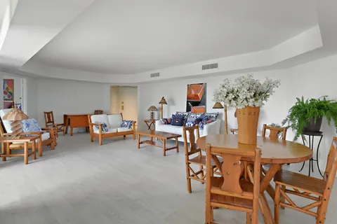 a view of a dining room with furniture and a potted plant