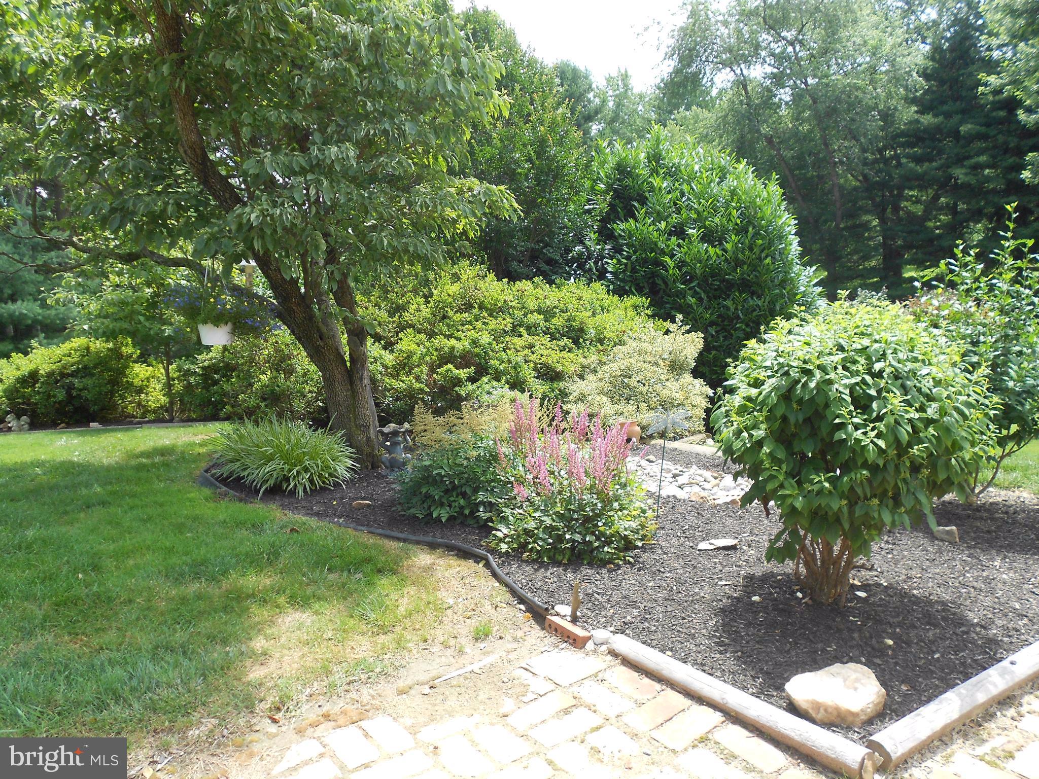 3105 Winchester Way Fallston, MD 21047 - Photo 8 of 26 View