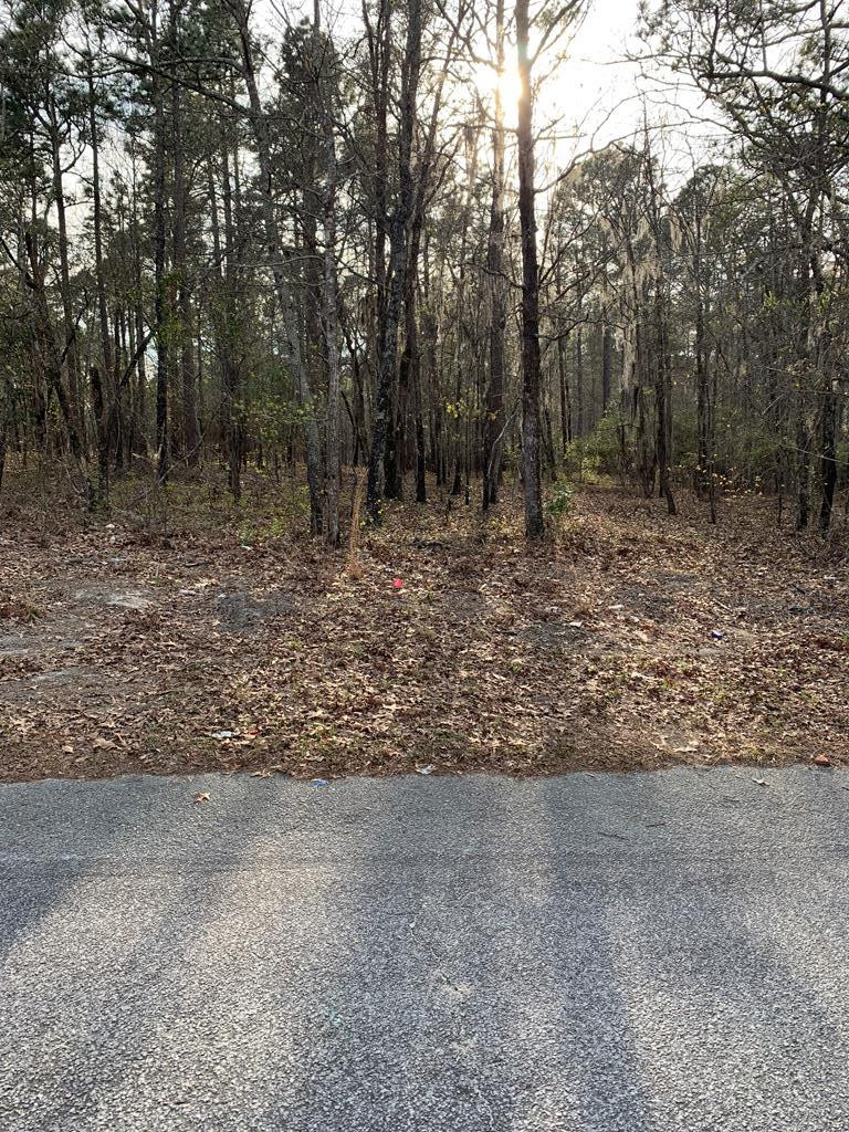 0 Rambling Ridge Road Orangeburg, SC 29115 - Photo 1 of 6 Main View
