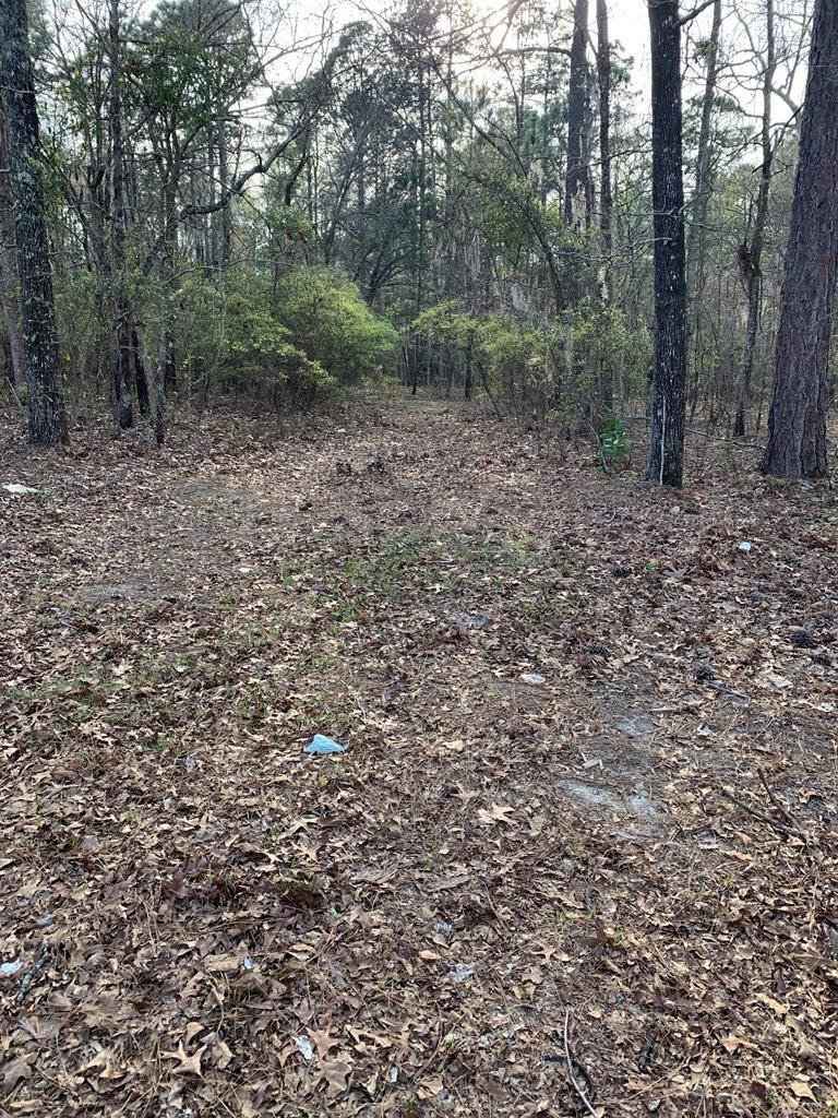 0 Rambling Ridge Road Orangeburg, SC 29115 - Photo 2 of 6 Photo 2