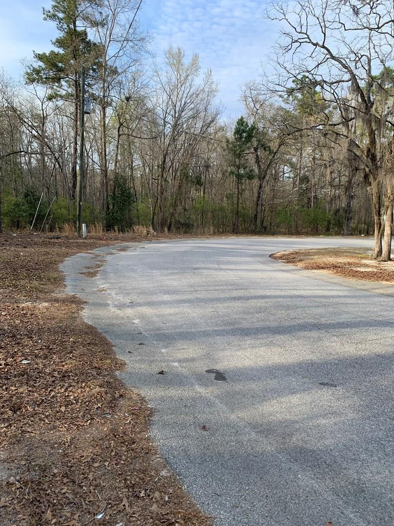 0 Rambling Ridge Road Orangeburg, SC 29115 - Photo 3 of 6 Photo 3