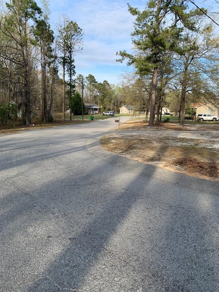 0 Rambling Ridge Road Orangeburg, SC 29115 - Photo 4 of 6 Photo 4