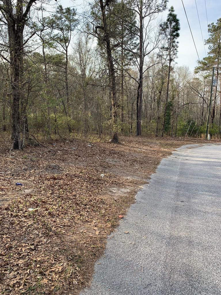 0 Rambling Ridge Road Orangeburg, SC 29115 - Photo 5 of 6 Photo 5