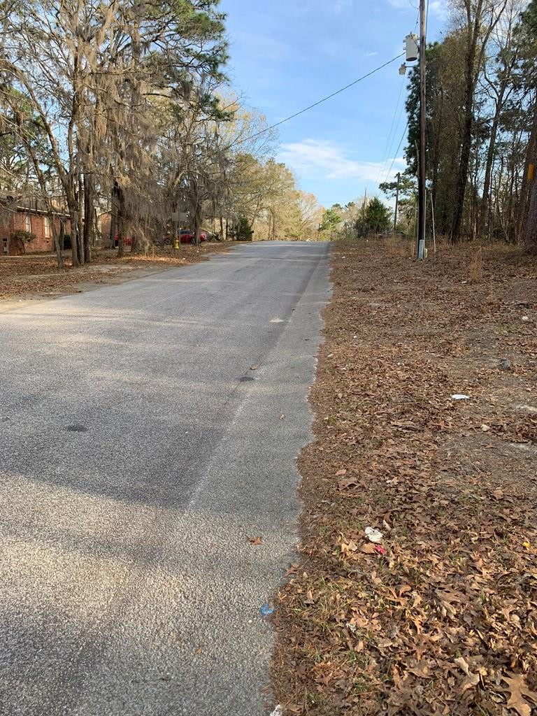0 Rambling Ridge Road Orangeburg, SC 29115 - Photo 6 of 6 Photo 6