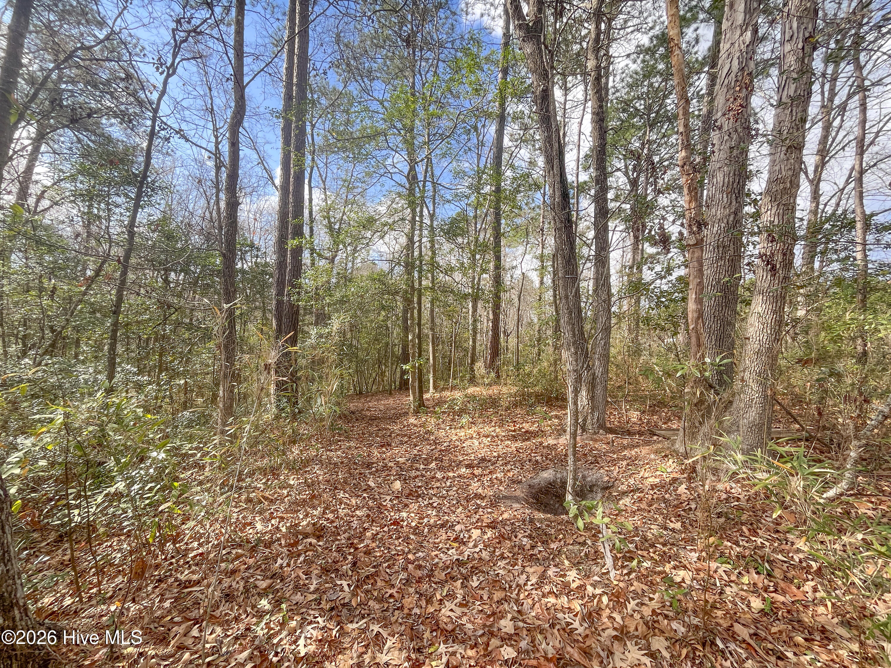 21900 Highway 17 Hampstead, NC 28443 - Photo 21 of 51 16-IMG_7918