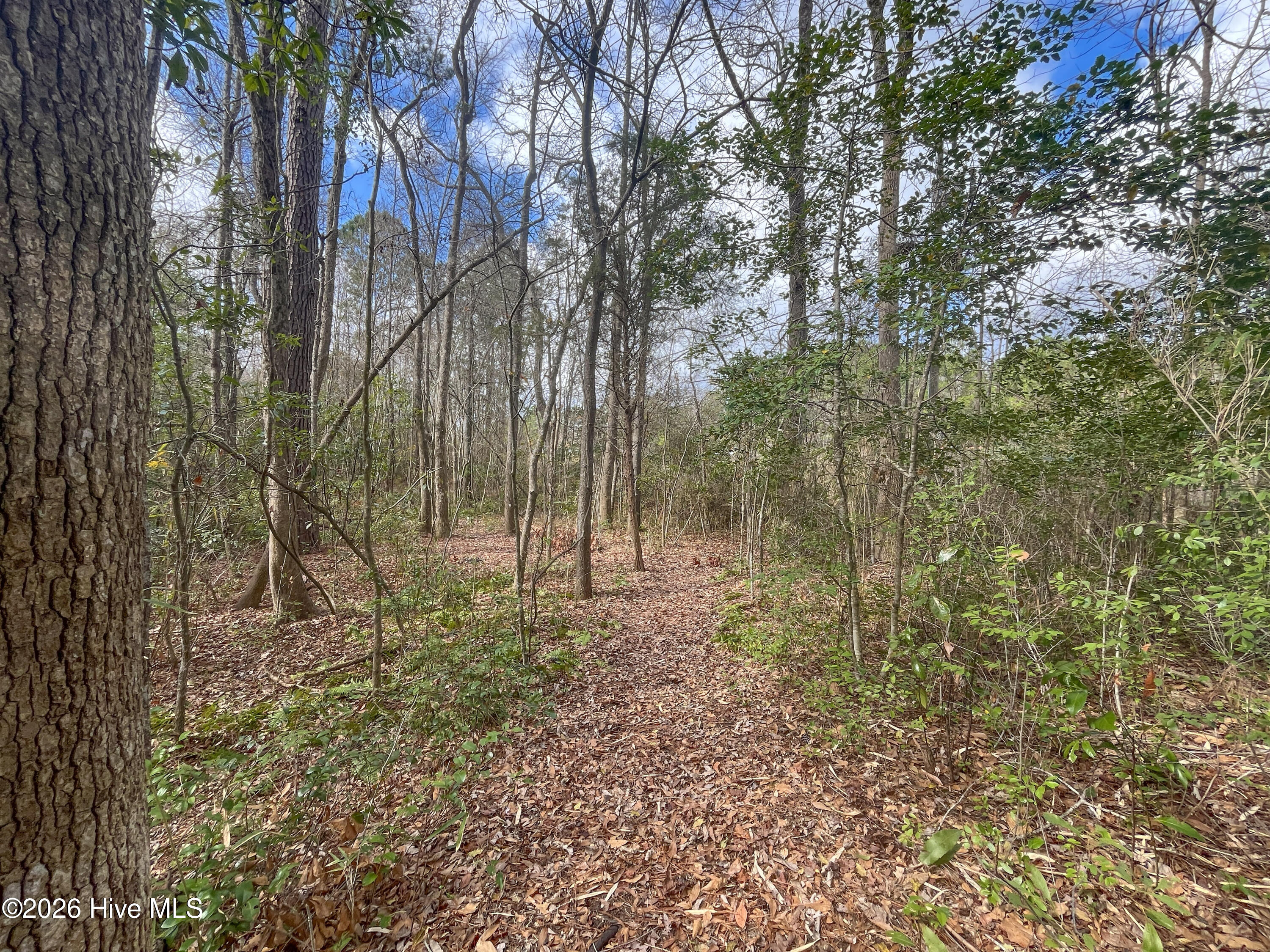 21900 Highway 17 Hampstead, NC 28443 - Photo 22 of 51 17-IMG_7919