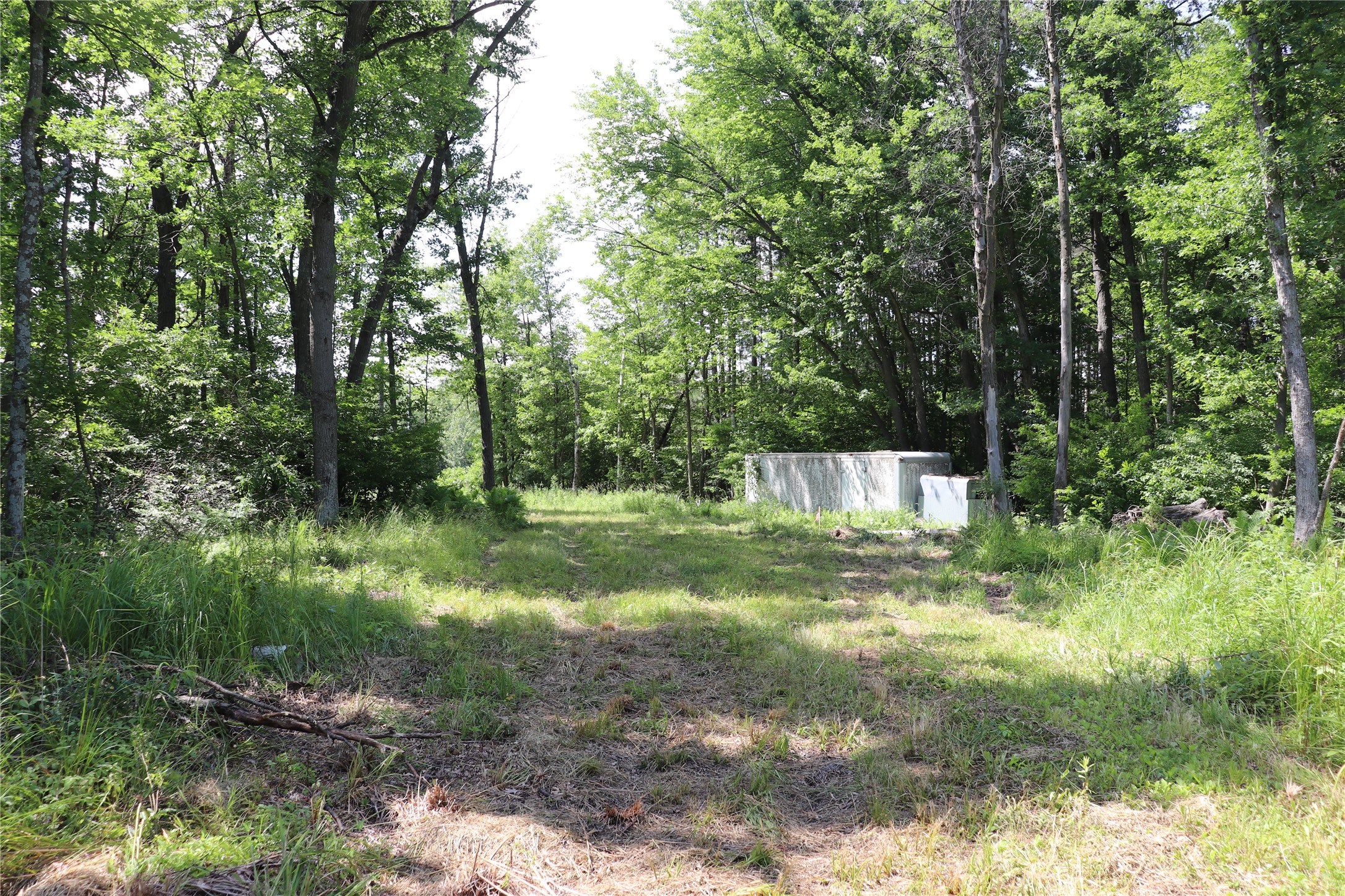 S11305 Kempton Road Augusta, WI 54722 - Photo 43 of 57