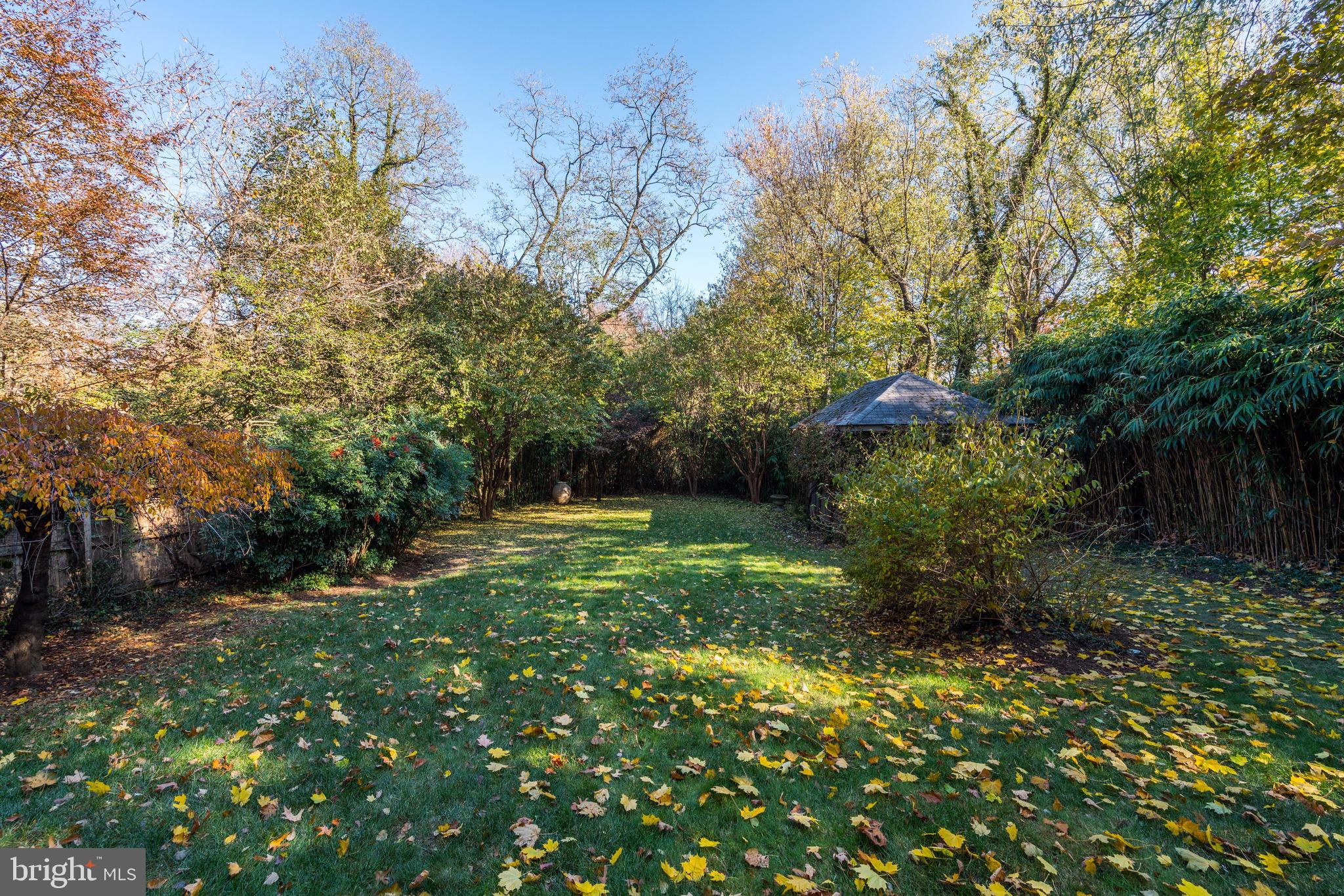 3121 33rd Place Northwest Washington, DC 20008 - Photo 9 of 20 Backyard