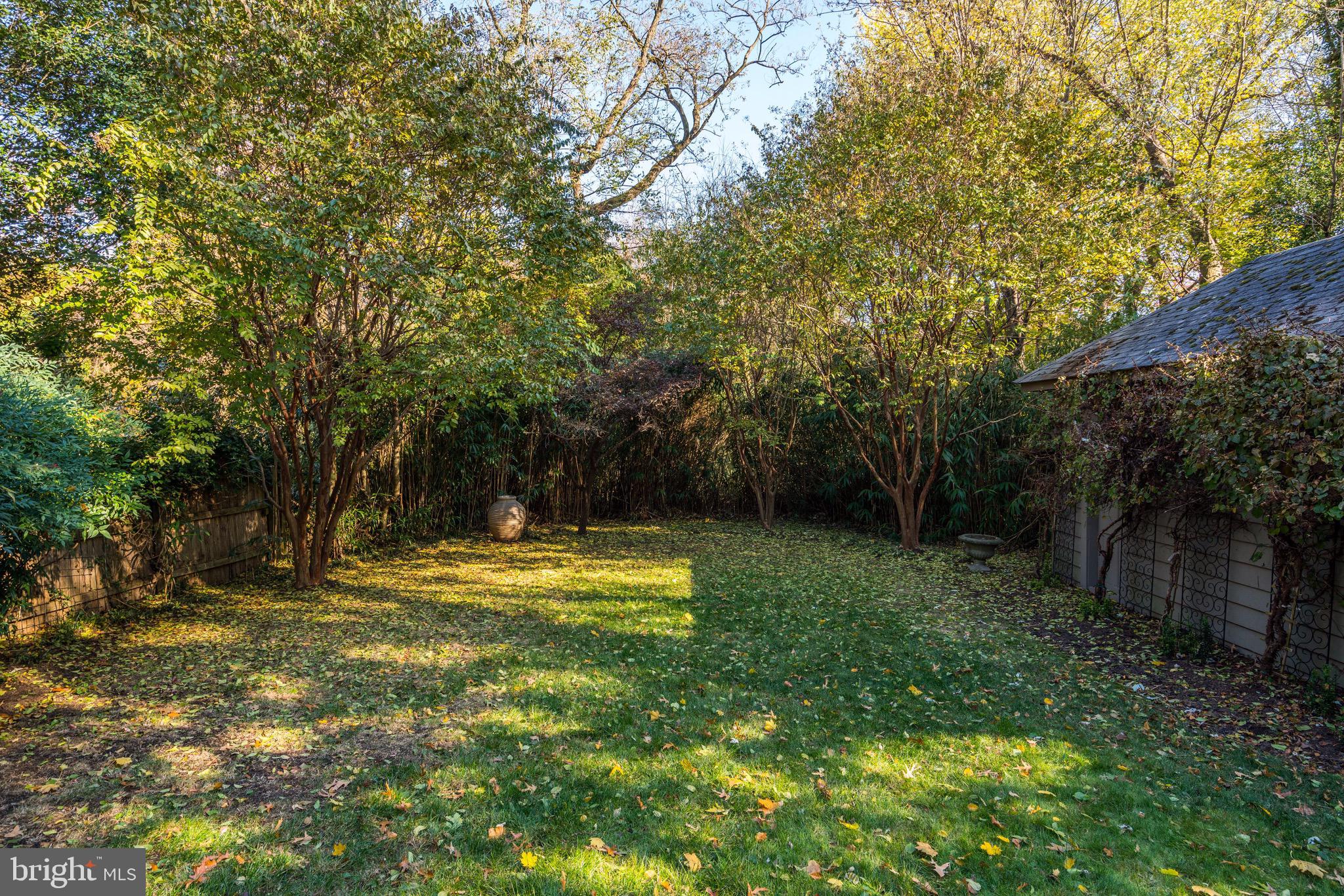 3121 33rd Place Northwest Washington, DC 20008 - Photo 10 of 20 Backyard