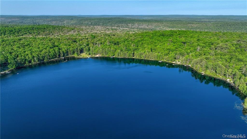 York Lake Estates Road Barryville, NY 12719 - Photo 6 of 14 Drone / aerial view of a large body of water and a heavily wooded area
