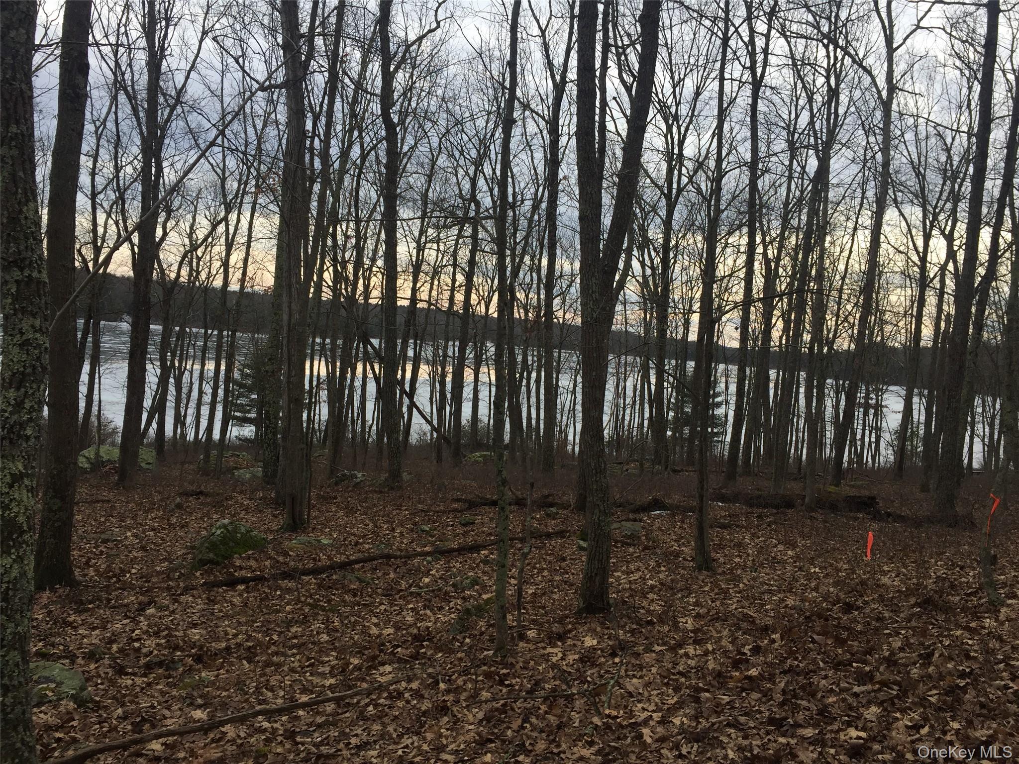 York Lake Estates Road Barryville, NY 12719 - Photo 7 of 14 Water view