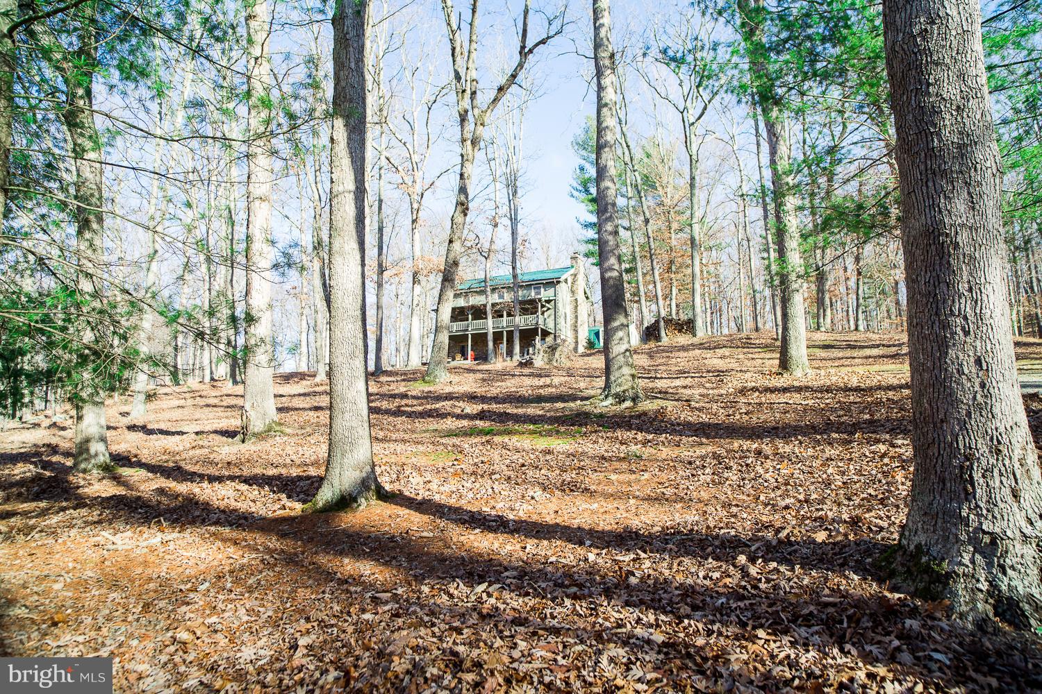 3811 Ebenezer Road Bluemont, VA 20135 - Photo 29 of 30 View as home is approached