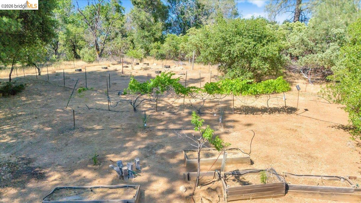 18475 Hershey Road East Tuolumne, CA 95379 - Photo 36 of 38 a view of yard with green space