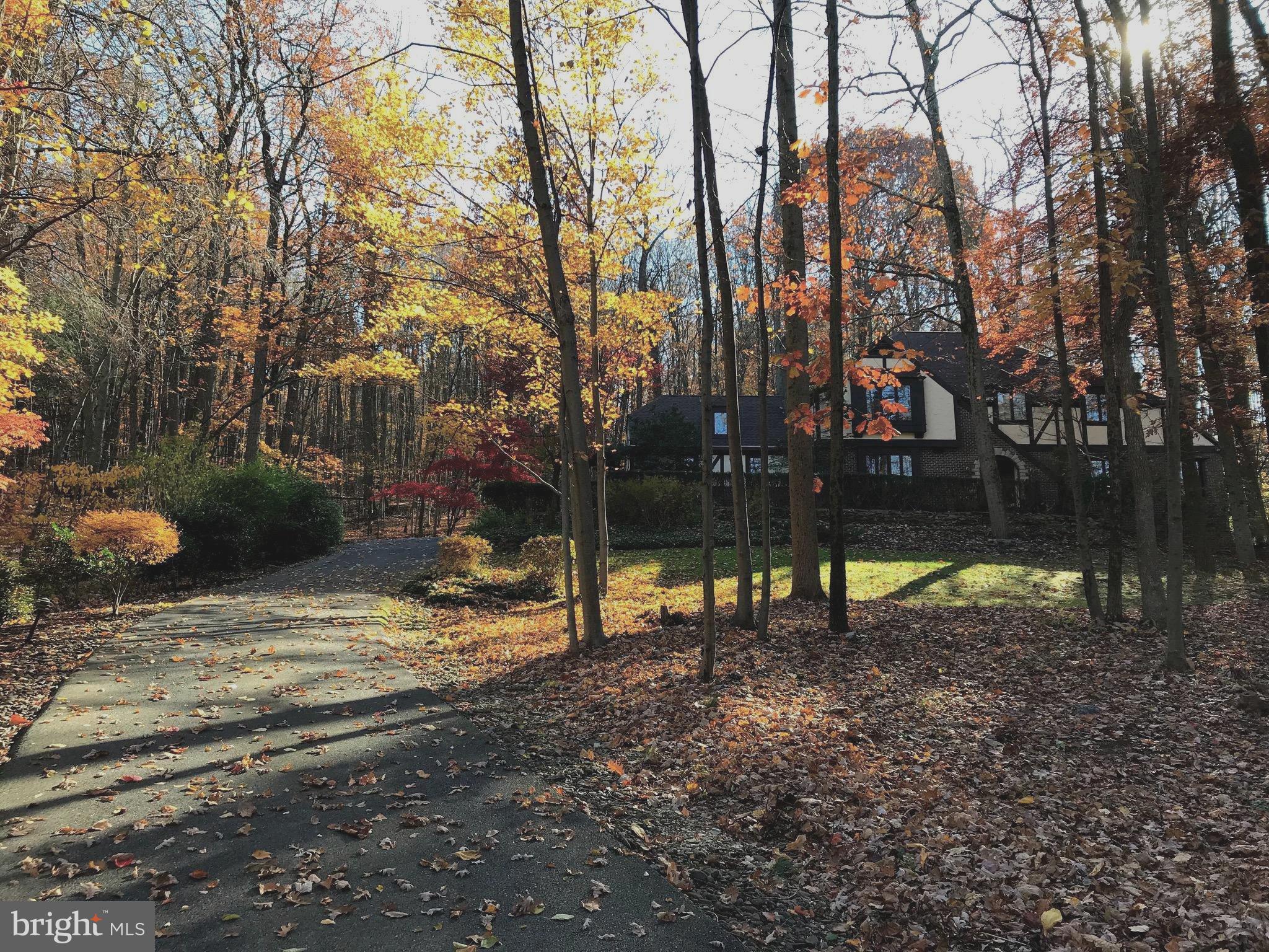 412 Arrowhead Trail Reading, PA 19608 - Photo 2 of 63 View from Road