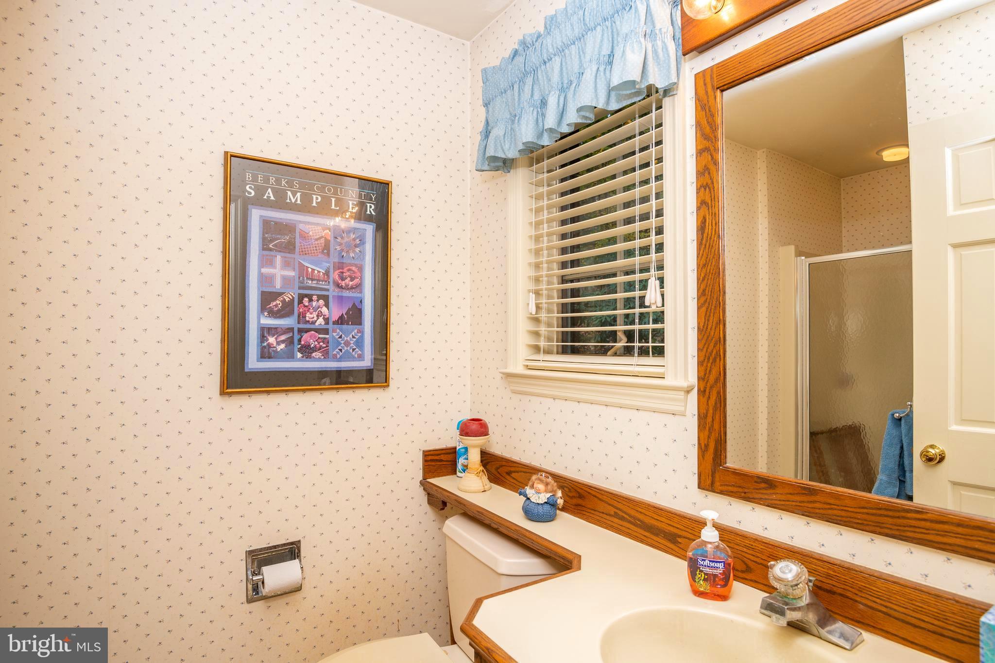 412 Arrowhead Trail Reading, PA 19608 - Photo 29 of 63 First Floor Full Bath